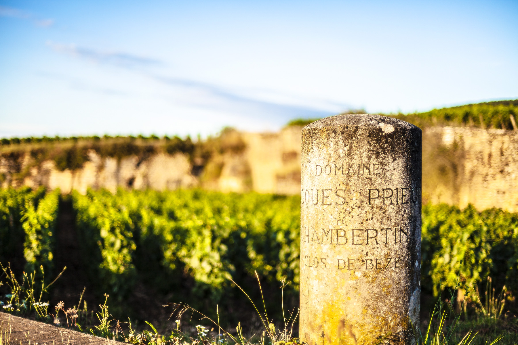 Cours oenologie Lille Bourgogne